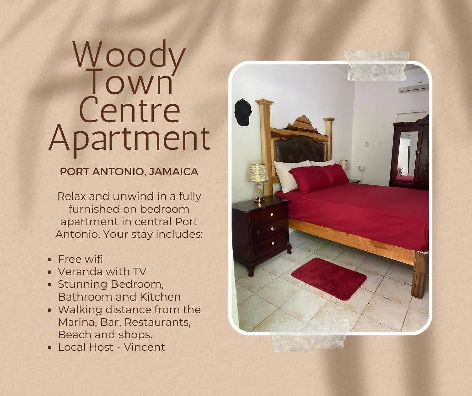 Woody Town Centre Apartment ポート・アントニオ